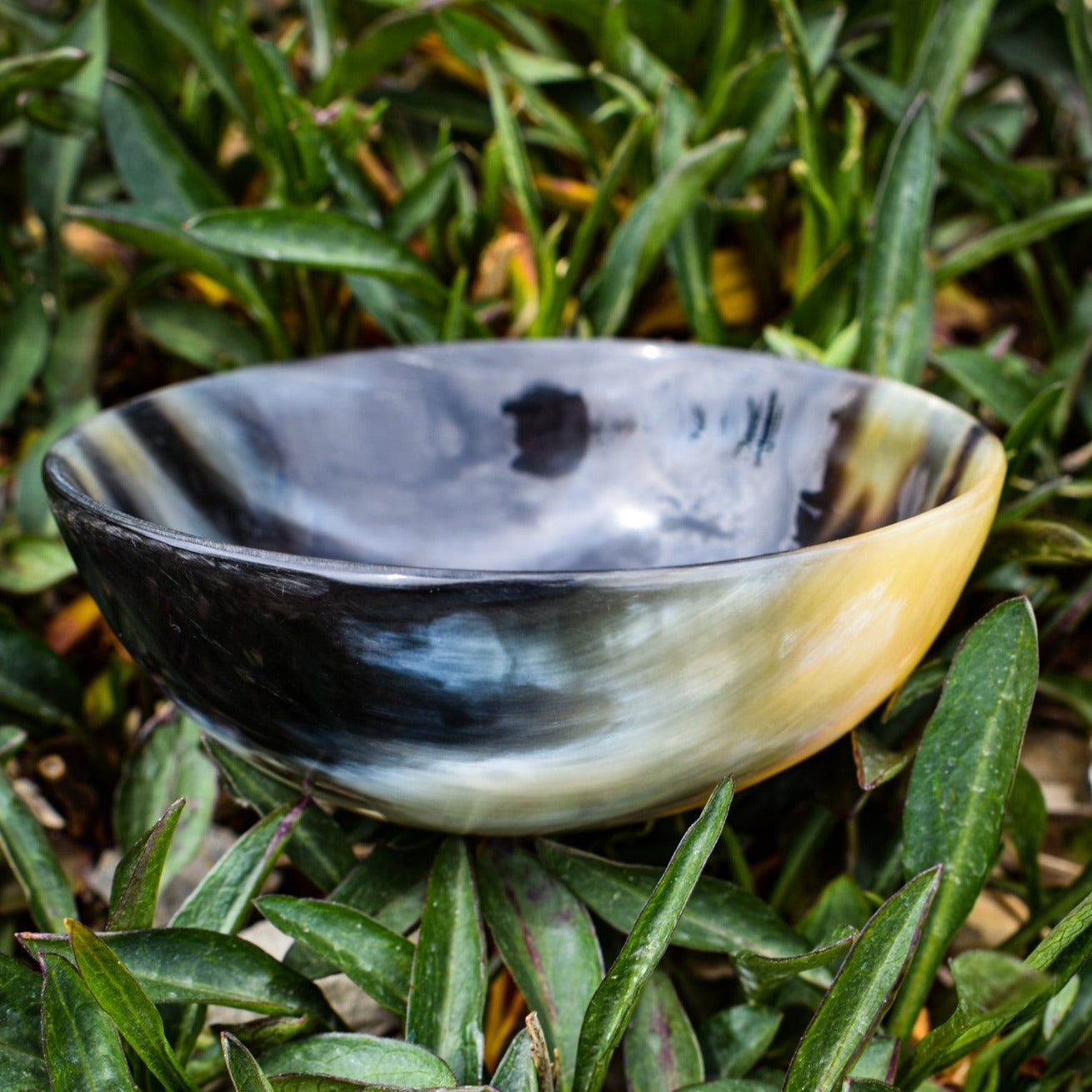 Buffalo Horn Offering Bowl