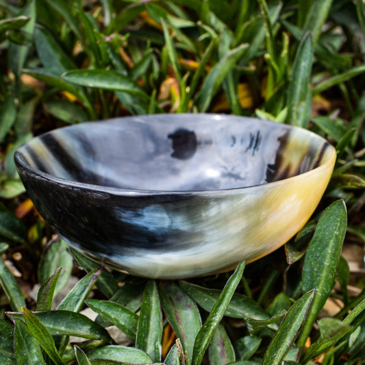 Buffalo Horn Offering Bowl